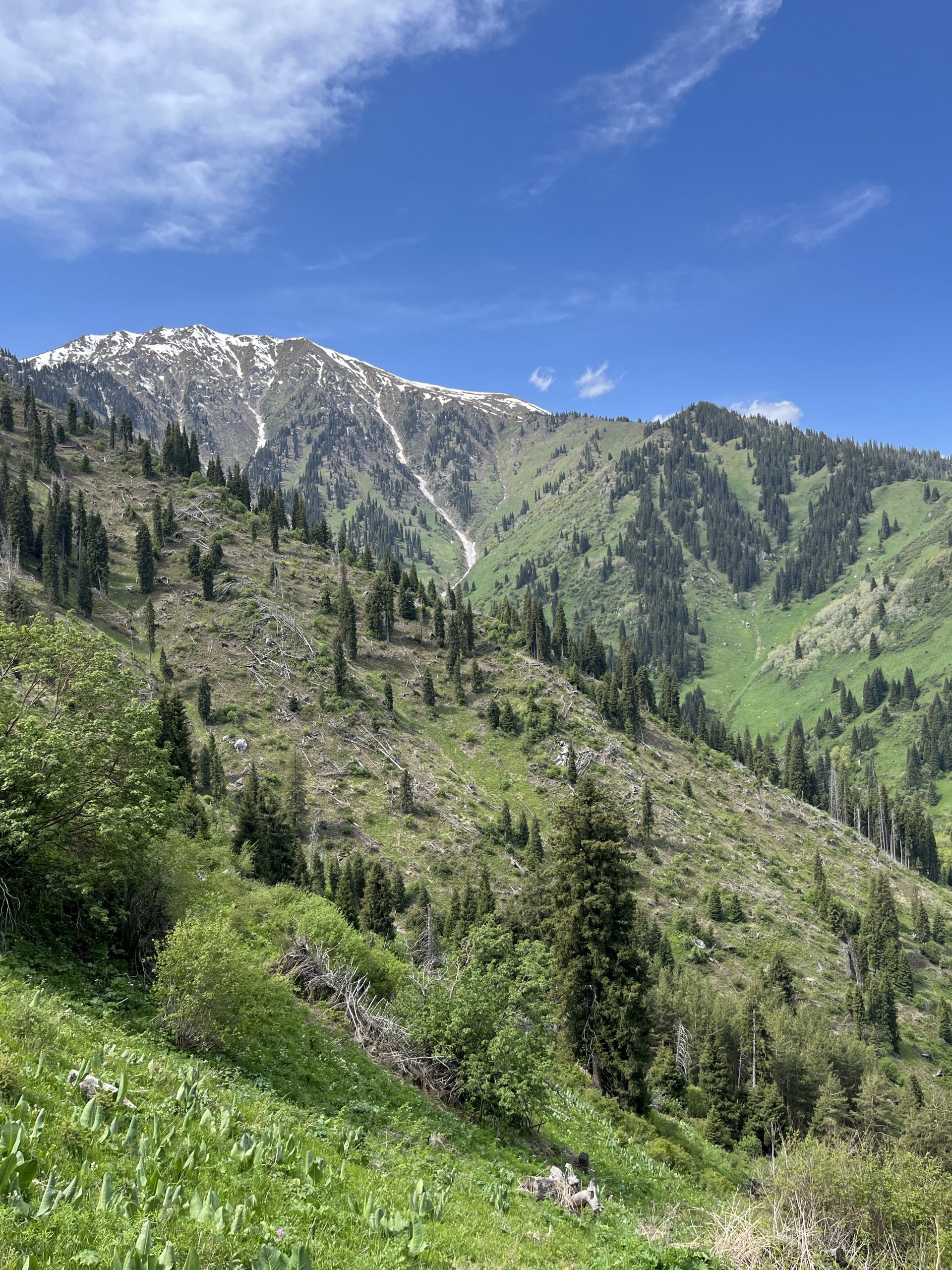 Scenic view from the summit of Mount Kumbel, overlooking the Kok-Zhailau Plateau and Almaty